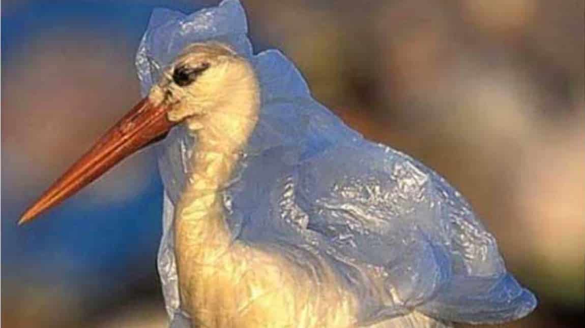 Plastik Poşetlerin Zararları